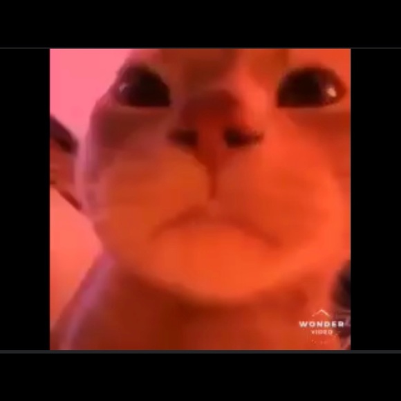 Meet your Posher, Bryan - Picture 1 of 1